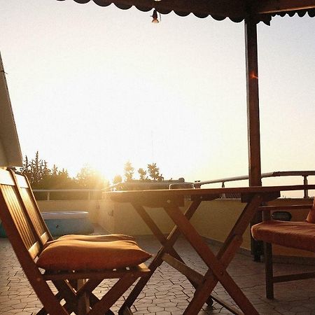 Апартаменты Friends Terrace Тирана Экстерьер фото